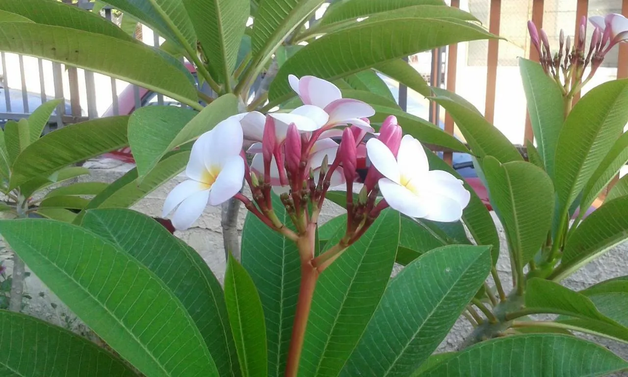 Appartamento La Plumeria Noto